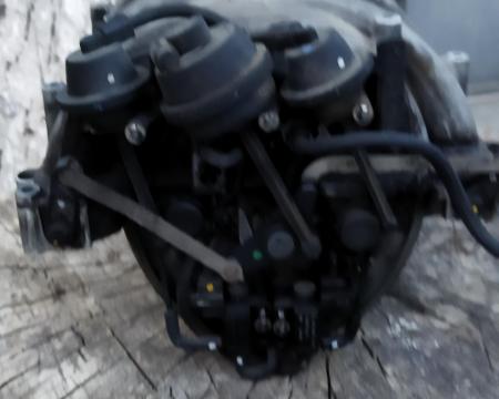 შემშვები კოლექტორი