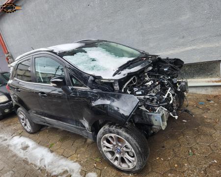 მაქვს ყველაფერი ფორდ ეკო სპორტის