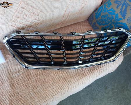 ცინა დიდი ცხაურა აბლიცოვკა