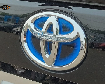 ჰიბრიდის ლოგო 