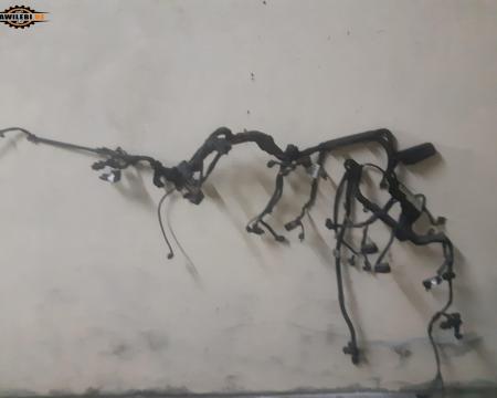 პრაოდკა
