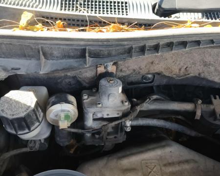 Lovattos bunebrivi gazi 