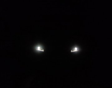  Jaguar Xj X351 xenon headlights, ფარები